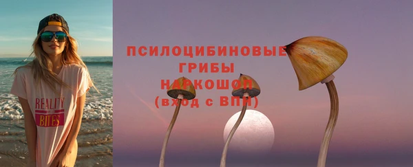 эйфоретик Горняк