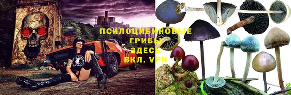 ALPHA-PVP Горнозаводск