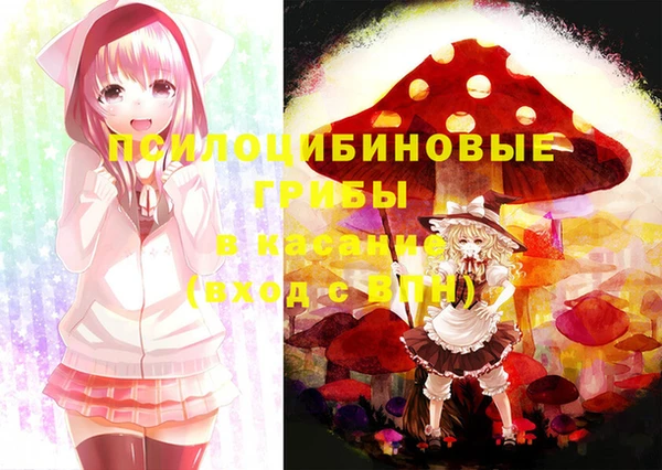 эйфоретик Горняк