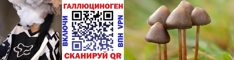 закладка  Тайшет  Псилоцибиновые грибы Cubensis 